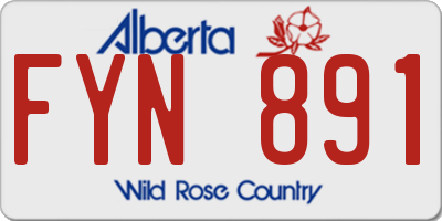 AB license plate FYN891