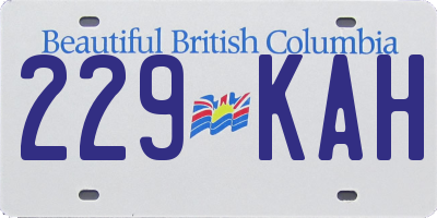 BC license plate 229KAH