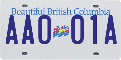 BC license plate AA001A