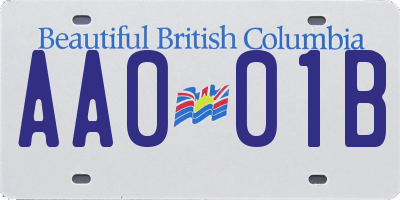 BC license plate AA001B