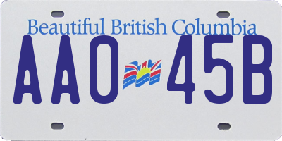 BC license plate AA045B
