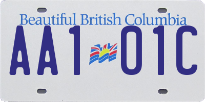 BC license plate AA101C