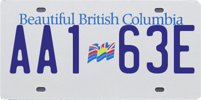BC license plate AA163E