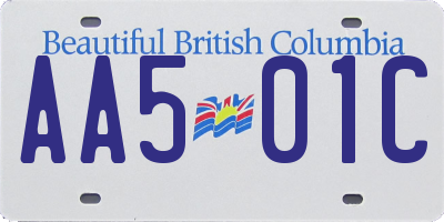 BC license plate AA501C