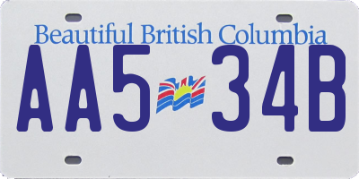 BC license plate AA534B