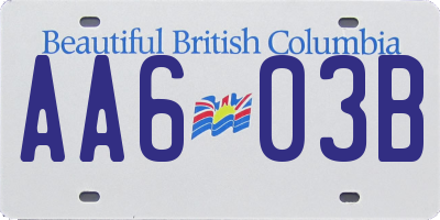 BC license plate AA603B