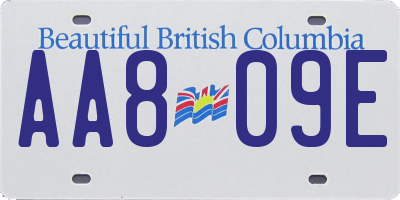 BC license plate AA809E