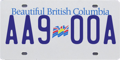 BC license plate AA900A