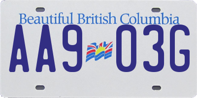 BC license plate AA903G