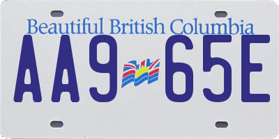 BC license plate AA965E