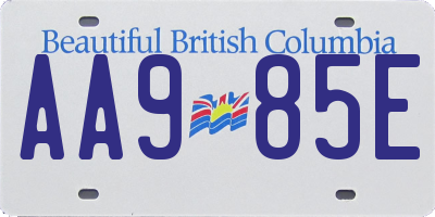 BC license plate AA985E