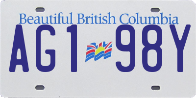 BC license plate AG198Y