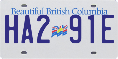 BC license plate HA291E