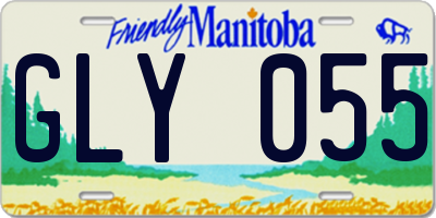 MB license plate GLY055