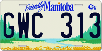 MB license plate GWC313