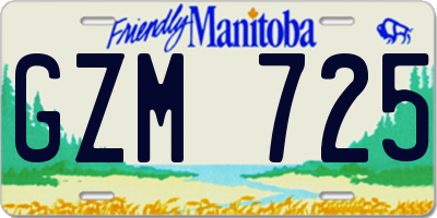 MB license plate GZM725