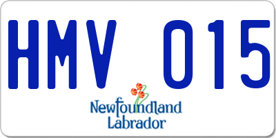 NL license plate HMV015