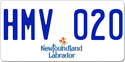 NL license plate HMV020