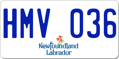 NL license plate HMV036