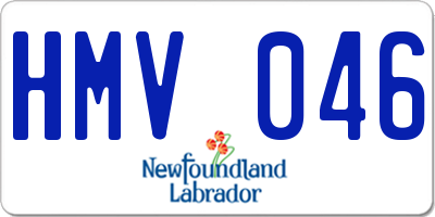 NL license plate HMV046