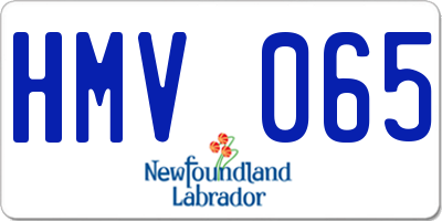 NL license plate HMV065