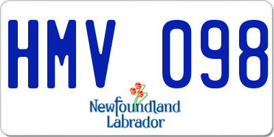 NL license plate HMV098