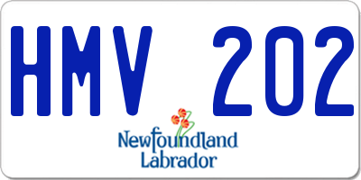 NL license plate HMV202
