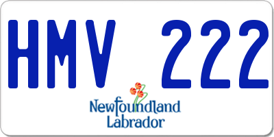 NL license plate HMV222