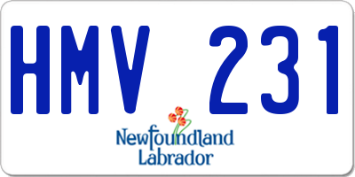 NL license plate HMV231