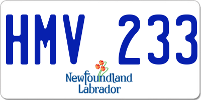 NL license plate HMV233