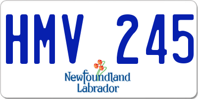 NL license plate HMV245