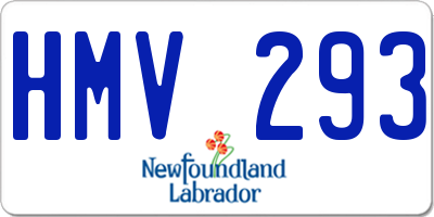 NL license plate HMV293