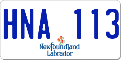 NL license plate HNA113