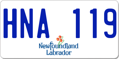 NL license plate HNA119