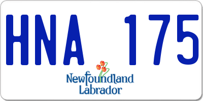 NL license plate HNA175