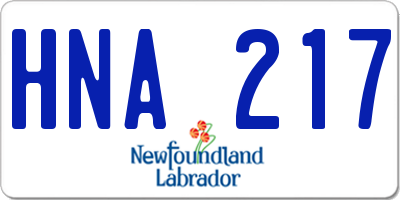 NL license plate HNA217