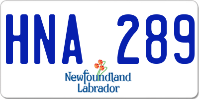 NL license plate HNA289