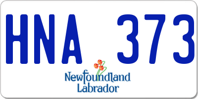 NL license plate HNA373