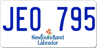 NL license plate JEO795