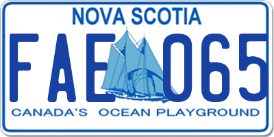 NS license plate FAE065