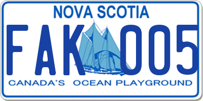 NS license plate FAK005