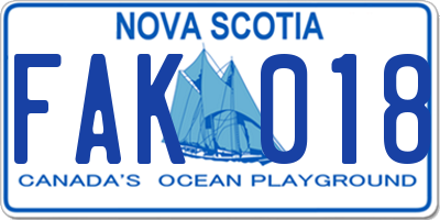 NS license plate FAK018