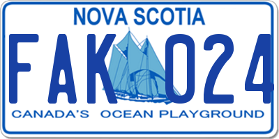 NS license plate FAK024