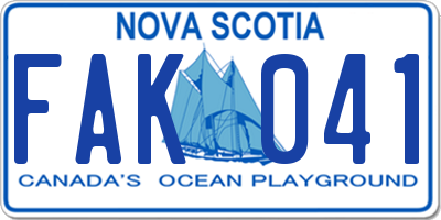 NS license plate FAK041