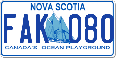 NS license plate FAK080