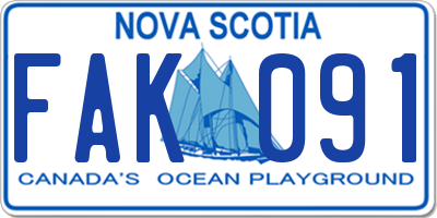 NS license plate FAK091