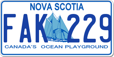 NS license plate FAK229