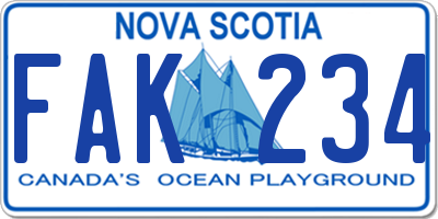 NS license plate FAK234
