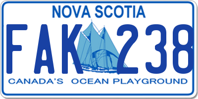 NS license plate FAK238
