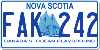 NS license plate FAK242